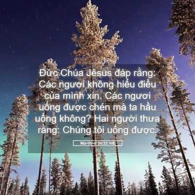 Picture 05 - Ma-thi-ơ 20:22 VIE - Đức Chúa Jêsus đáp rằng: Các ngươi - Bible Verse Picture