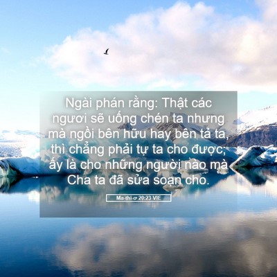 Picture 05 - Ma-thi-ơ 20:23 VIE - Ngài phán rằng: Thật các ngươi sẽ - Bible Verse Picture