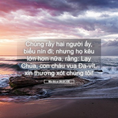 Picture 05 - Ma-thi-ơ 20:31 VIE - Chúng rầy hai người ấy, biểu nín đi; - Bible Verse Picture
