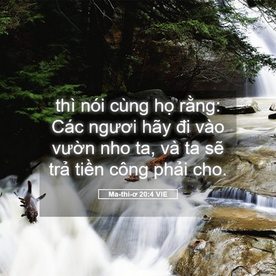 Picture 05 - Ma-thi-ơ 20:4 VIE - thì nói cùng họ rằng: Các ngươi hãy - Bible Verse Picture