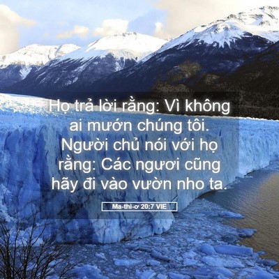 Picture 05 - Ma-thi-ơ 20:7 VIE - Họ trả lời rằng: Vì không ai mướn - Bible Verse Picture