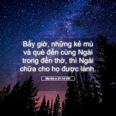 Picture 05 - Ma-thi-ơ 21:14 VIE - Bấy giờ, những kẻ mù và què đến - Bible Verse Picture