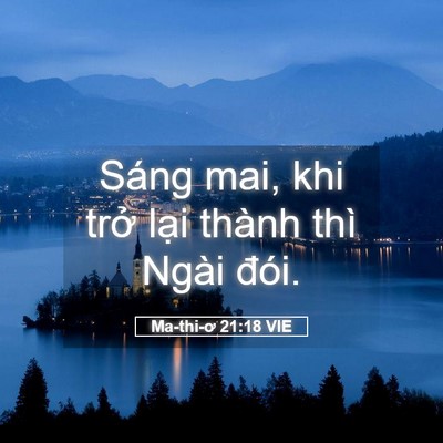 Picture 05 - Ma-thi-ơ 21:18 VIE - Sáng mai, khi trở lại thành thì Ngài - Bible Verse Picture