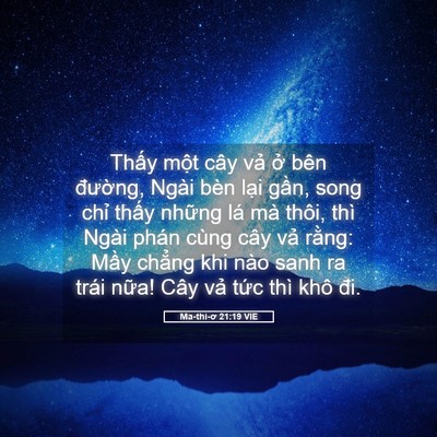 Picture 05 - Ma-thi-ơ 21:19 VIE - Thấy một cây vả ở bên đường, Ngài - Bible Verse Picture