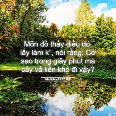 Picture 05 - Ma-thi-ơ 21:20 VIE - Môn đồ thấy điều đó, lấy làm k”, - Bible Verse Picture