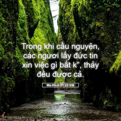 Picture 05 - Ma-thi-ơ 21:22 VIE - Trong khi cầu nguyện, các ngươi lấy - Bible Verse Picture