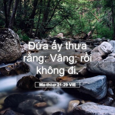 Picture 05 - Ma-thi-ơ 21:29 VIE - Đứa ấy thưa rằng: Vâng; rồi không - Bible Verse Picture