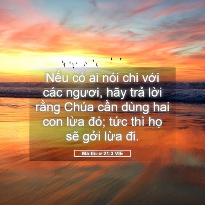 Picture 05 - Ma-thi-ơ 21:3 VIE - Nếu có ai nói chi với các ngươi, hãy - Bible Verse Picture