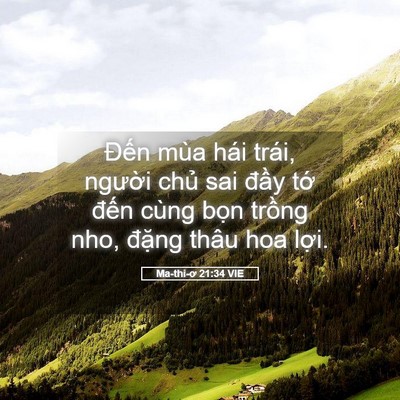 Picture 05 - Ma-thi-ơ 21:34 VIE - Đến mùa hái trái, người chủ sai đầy - Bible Verse Picture