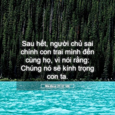 Picture 05 - Ma-thi-ơ 21:37 VIE - Sau hết, người chủ sai chính con trai - Bible Verse Picture