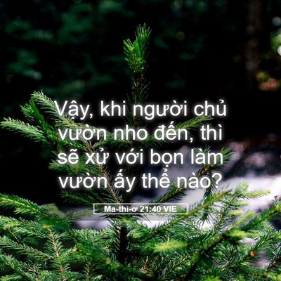 Picture 05 - Ma-thi-ơ 21:40 VIE - Vậy, khi người chủ vườn nho đến, - Bible Verse Picture