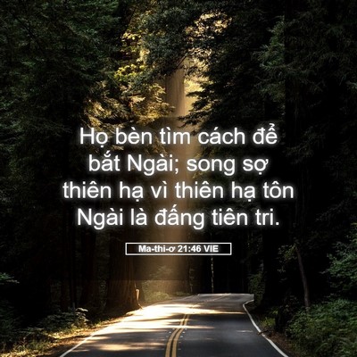 Picture 05 - Ma-thi-ơ 21:46 VIE - Họ bèn tìm cách để bắt Ngài; song sợ - Bible Verse Picture