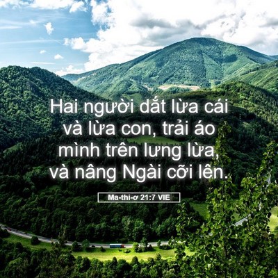 Picture 05 - Ma-thi-ơ 21:7 VIE - Hai người dắt lừa cái và lừa con, - Bible Verse Picture