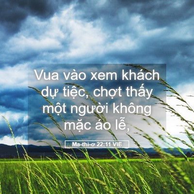 Picture 05 - Ma-thi-ơ 22:11 VIE - Vua vào xem khách dự tiệc, chợt thấy - Bible Verse Picture