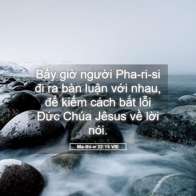 Picture 05 - Ma-thi-ơ 22:15 VIE - Bấy giờ người Pha-ri-si đi ra bàn luận - Bible Verse Picture