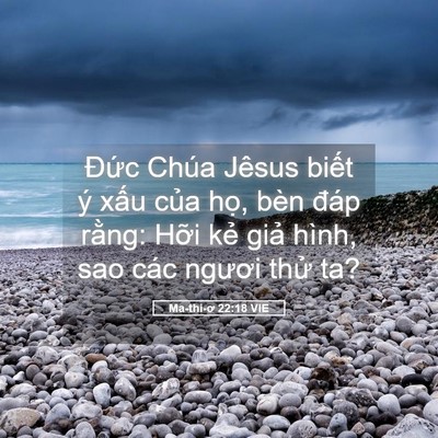 Picture 05 - Ma-thi-ơ 22:18 VIE - Đức Chúa Jêsus biết ý xấu của họ, - Bible Verse Picture