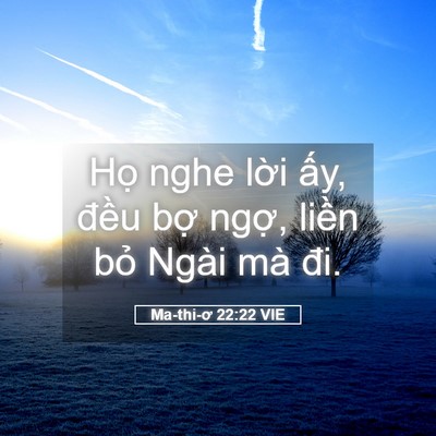 Picture 05 - Ma-thi-ơ 22:22 VIE - Họ nghe lời ấy, đều bợ ngợ, liền - Bible Verse Picture