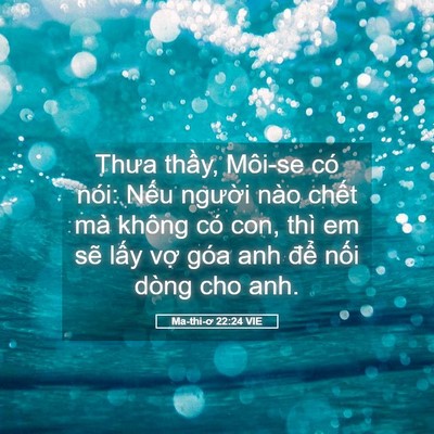 Picture 05 - Ma-thi-ơ 22:24 VIE - Thưa thầy, Môi-se có nói: Nếu người - Bible Verse Picture