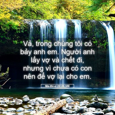 Picture 05 - Ma-thi-ơ 22:25 VIE - Vả, trong chúng tôi có bảy anh em. - Bible Verse Picture