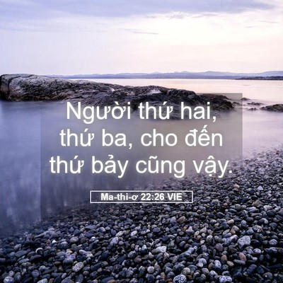 Picture 05 - Ma-thi-ơ 22:26 VIE - Người thứ hai, thứ ba, cho đến thứ - Bible Verse Picture