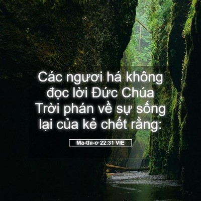 Picture 05 - Ma-thi-ơ 22:31 VIE - Các ngươi há không đọc lời Đức Chúa - Bible Verse Picture