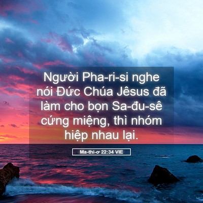 Picture 05 - Ma-thi-ơ 22:34 VIE - Người Pha-ri-si nghe nói Đức Chúa Jêsus - Bible Verse Picture