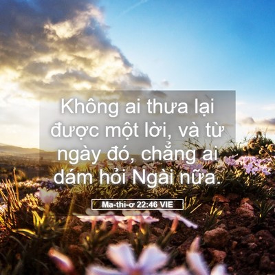 Picture 05 - Ma-thi-ơ 22:46 VIE - Không ai thưa lại được một lời, và - Bible Verse Picture