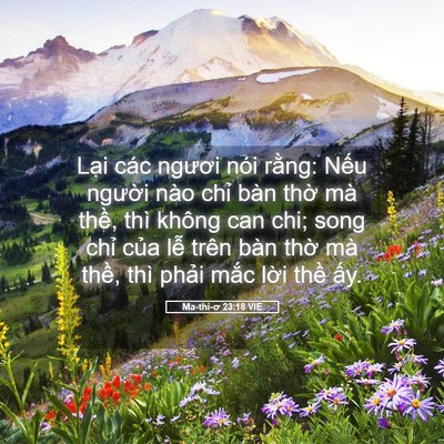 Picture 05 - Ma-thi-ơ 23:18 VIE - Lại các ngươi nói rằng: Nếu người - Bible Verse Picture