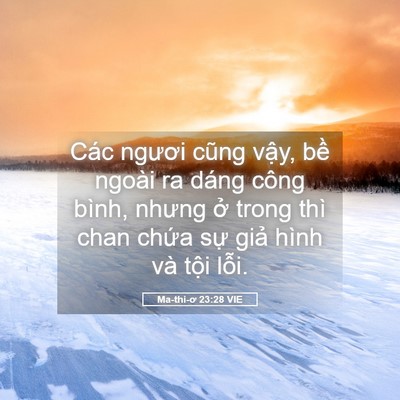 Picture 05 - Ma-thi-ơ 23:28 VIE - Các ngươi cũng vậy, bề ngoài ra dáng - Bible Verse Picture