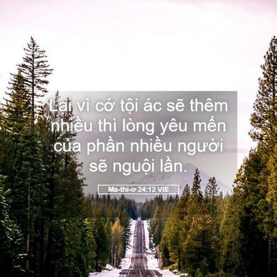 Picture 05 - Ma-thi-ơ 24:12 VIE - Lại vì cớ tội ác sẽ thêm nhiều thì - Bible Verse Picture