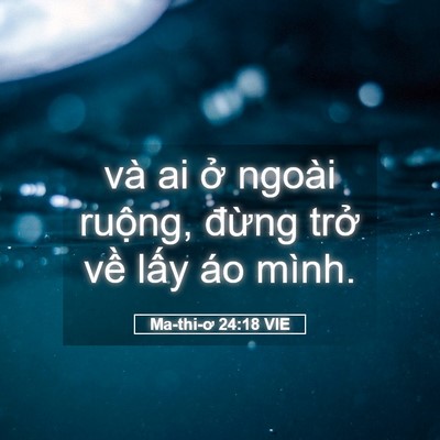 Picture 05 - Ma-thi-ơ 24:18 VIE - và ai ở ngoài ruộng, đừng trở về - Bible Verse Picture