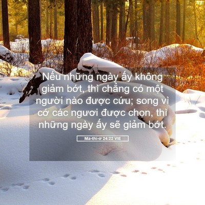 Picture 05 - Ma-thi-ơ 24:22 VIE - Nếu những ngày ấy không giảm bớt, - Bible Verse Picture