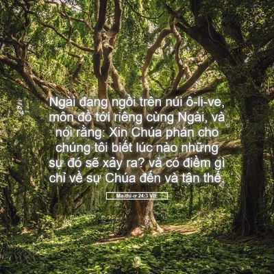 Picture 05 - Ma-thi-ơ 24:3 VIE - Ngài đang ngồi trên núi ô-li-ve, môn - Bible Verse Picture