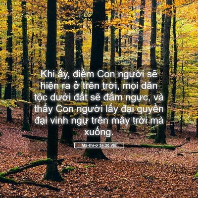 Picture 05 - Ma-thi-ơ 24:30 VIE - Khi ấy, điềm Con người sẽ hiện ra ở - Bible Verse Picture