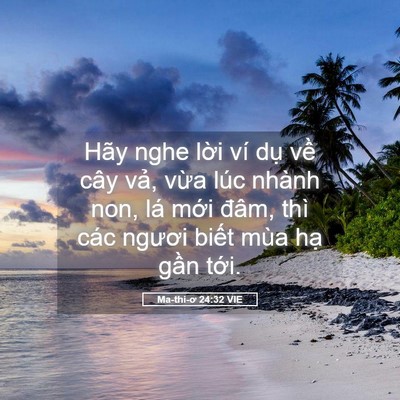 Picture 05 - Ma-thi-ơ 24:32 VIE - Hãy nghe lời ví dụ về cây vả, vừa - Bible Verse Picture