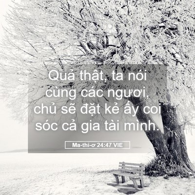 Picture 05 - Ma-thi-ơ 24:47 VIE - Quả thật, ta nói cùng các ngươi, chủ - Bible Verse Picture