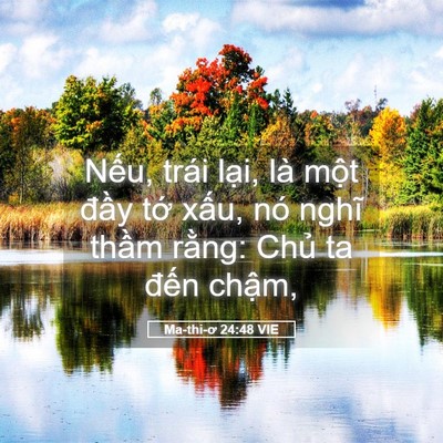 Picture 05 - Ma-thi-ơ 24:48 VIE - Nếu, trái lại, là một đầy tớ xấu, - Bible Verse Picture