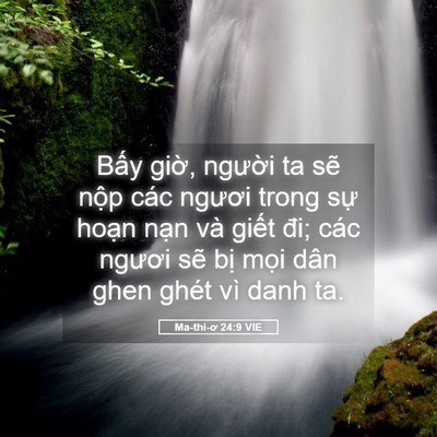 Picture 05 - Ma-thi-ơ 24:9 VIE - Bấy giờ, người ta sẽ nộp các ngươi - Bible Verse Picture