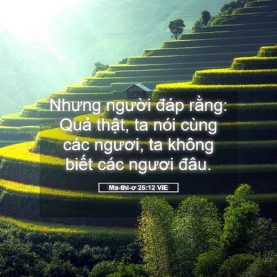 Picture 05 - Ma-thi-ơ 25:12 VIE - Nhưng người đáp rằng: Quả thật, ta - Bible Verse Picture