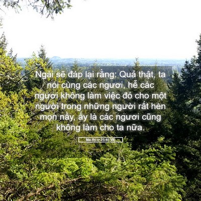 Picture 05 - Ma-thi-ơ 25:45 VIE - Ngài sẽ đáp lại rằng: Quả thật, ta - Bible Verse Picture