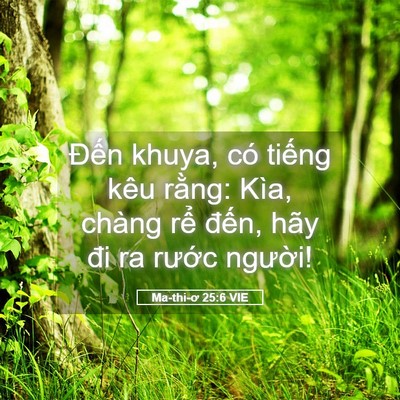 Picture 05 - Ma-thi-ơ 25:6 VIE - Đến khuya, có tiếng kêu rằng: Kìa, - Bible Verse Picture