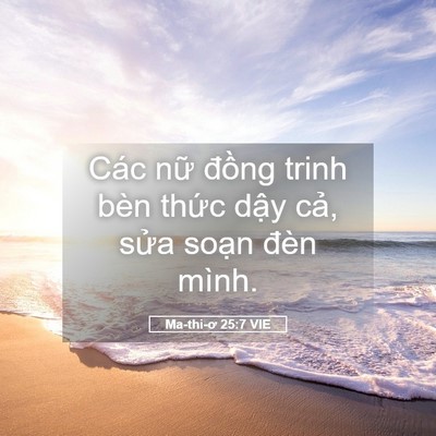 Picture 05 - Ma-thi-ơ 25:7 VIE - Các nữ đồng trinh bèn thức dậy cả, - Bible Verse Picture