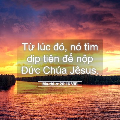 Picture 05 - Ma-thi-ơ 26:16 VIE - Từ lúc đó, nó tìm dịp tiện để nộp - Bible Verse Picture
