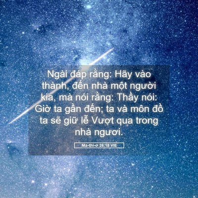 Picture 05 - Ma-thi-ơ 26:18 VIE - Ngài đáp rằng: Hãy vào thành, đến nhà - Bible Verse Picture