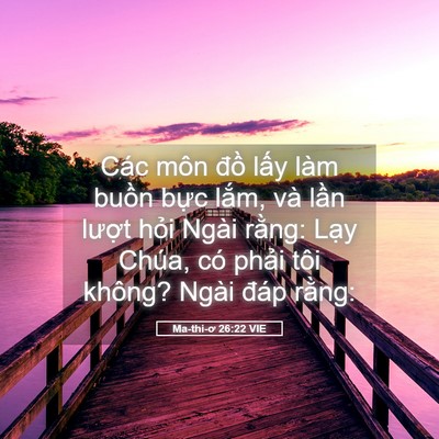 Picture 05 - Ma-thi-ơ 26:22 VIE - Các môn đồ lấy làm buồn bực lắm, - Bible Verse Picture