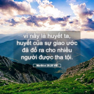 Picture 05 - Ma-thi-ơ 26:28 VIE - vì nầy là huyết ta, huyết của sự giao - Bible Verse Picture