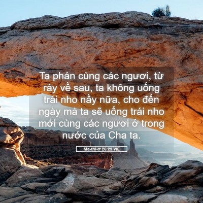 Picture 05 - Ma-thi-ơ 26:29 VIE - Ta phán cùng các ngươi, từ rày về sau, - Bible Verse Picture