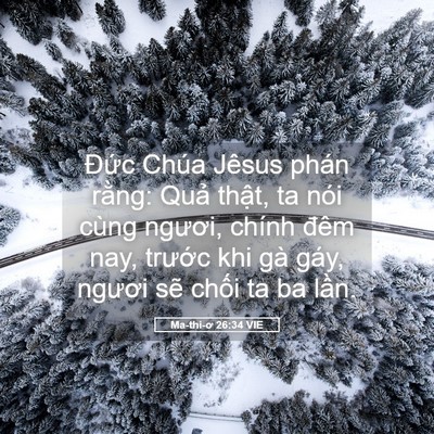 Picture 05 - Ma-thi-ơ 26:34 VIE - Đức Chúa Jêsus phán rằng: Quả thật, - Bible Verse Picture