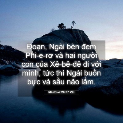 Picture 05 - Ma-thi-ơ 26:37 VIE - Đoạn, Ngài bèn đem Phi-e-rơ và hai - Bible Verse Picture