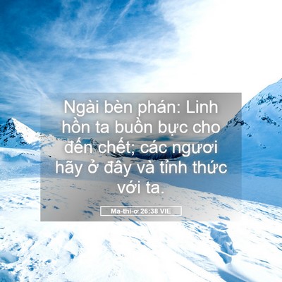 Picture 05 - Ma-thi-ơ 26:38 VIE - Ngài bèn phán: Linh hồn ta buồn bực cho - Bible Verse Picture